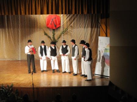 Folklorni festival 11